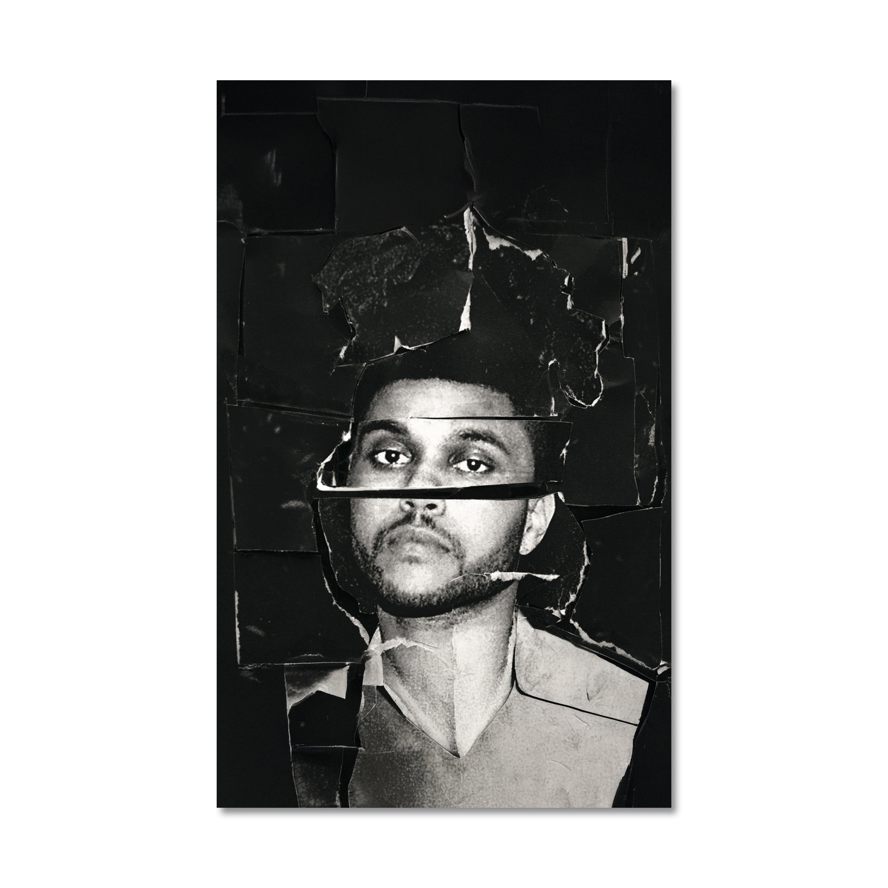 Beauty Behind The Madness Poster